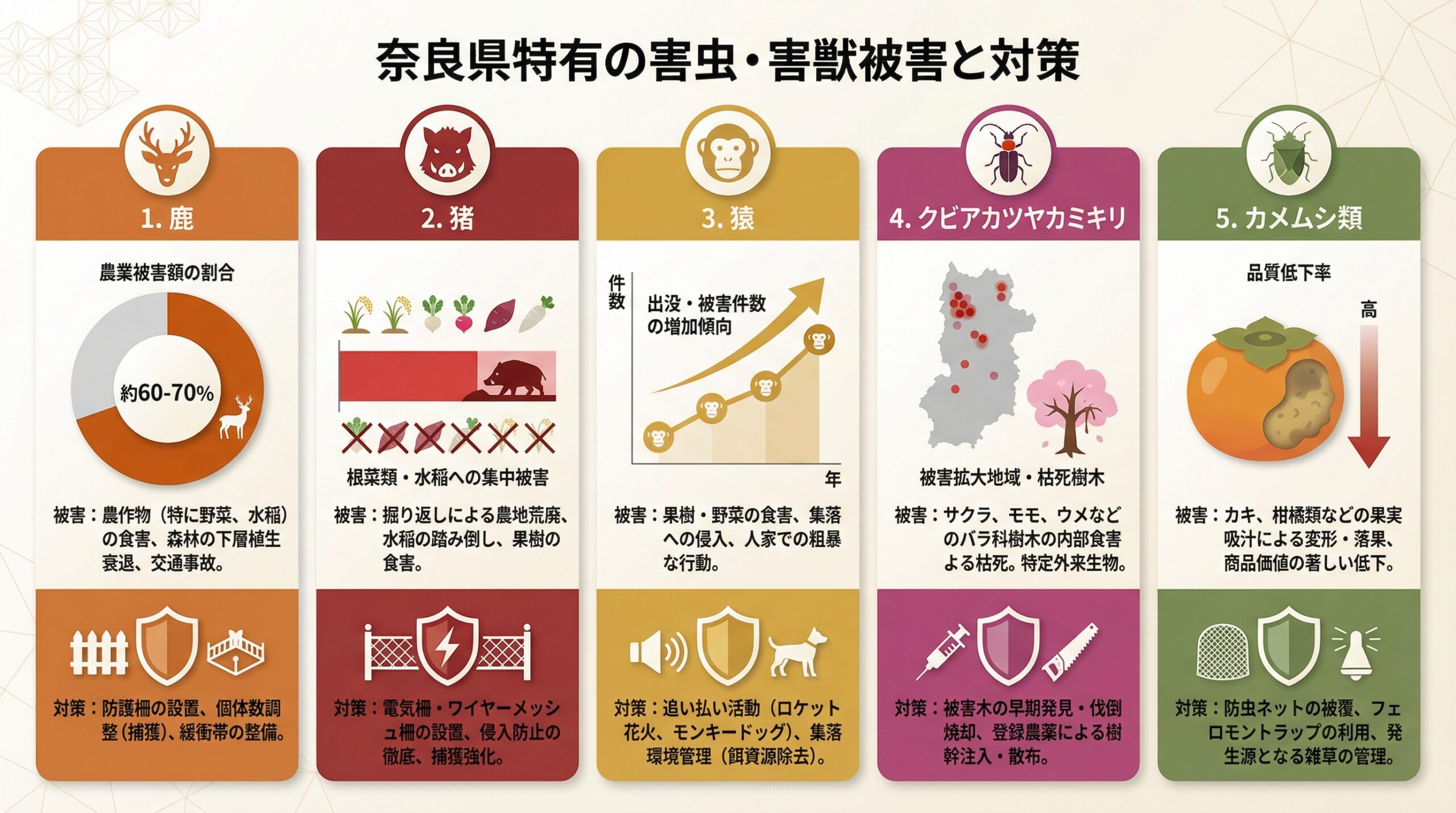 奈良で害虫駆除におすすめの業者11選！料金相場と失敗しない選び方 - インフォグラフィック画像 5